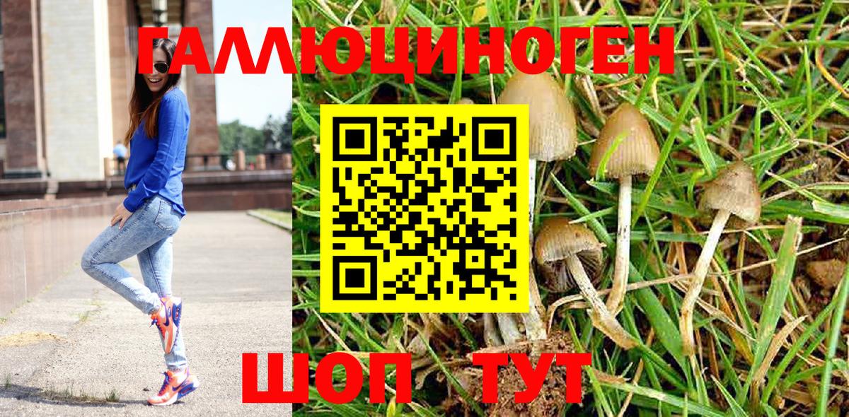 Псилоцибиновые грибы мухоморы Узловая